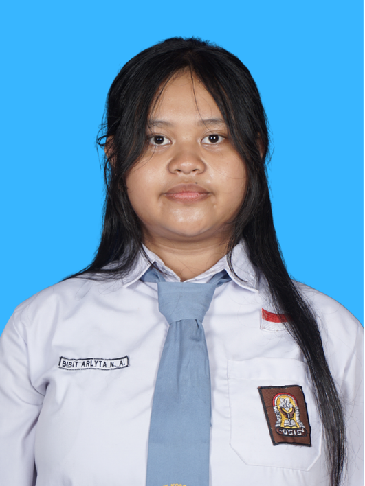 Bibit Arlya Nur A.